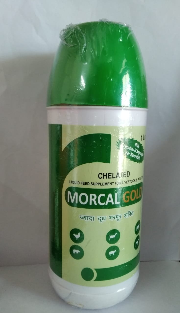 MORCAL GOLD 1 LTR
